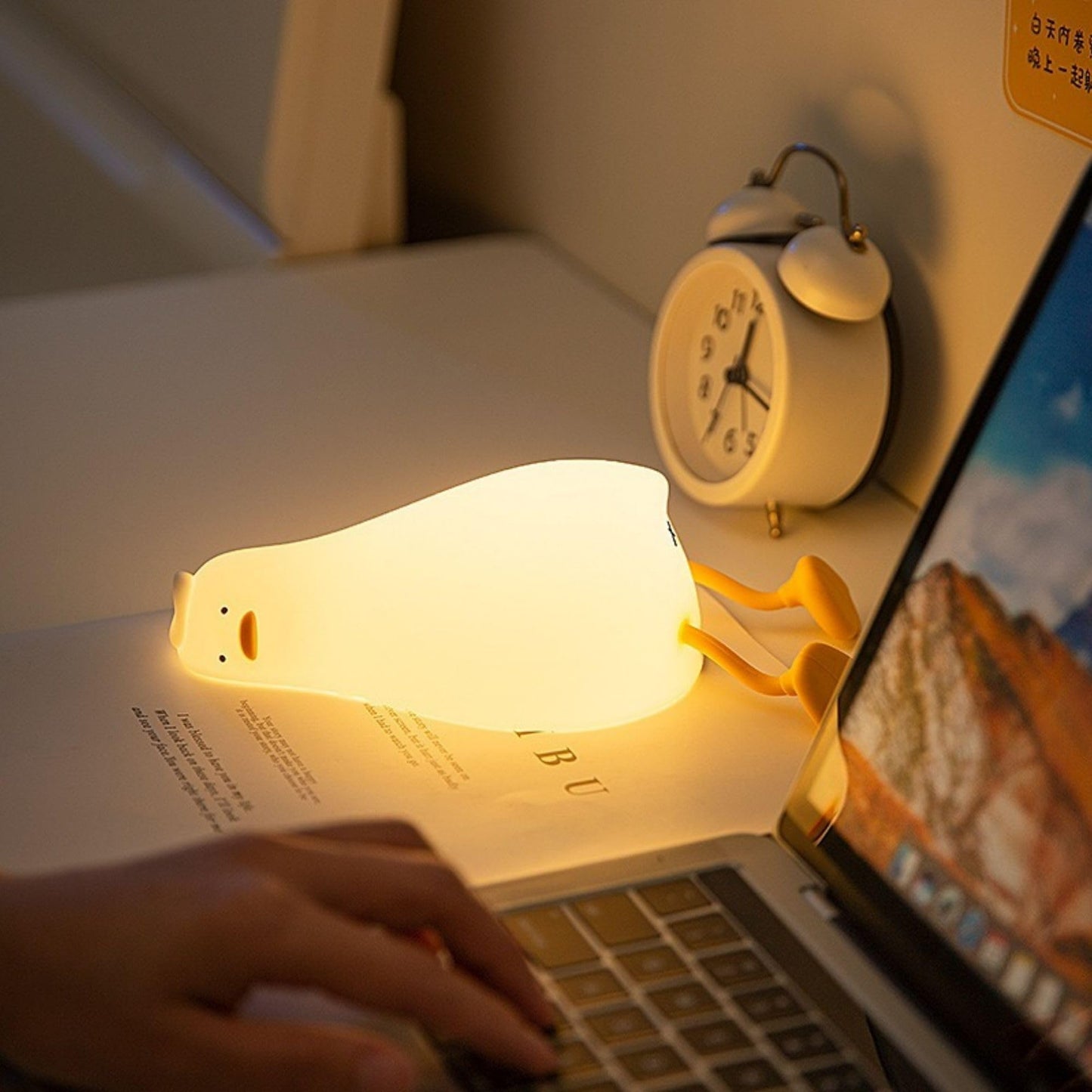 SLEEPING DUCK NIGHT LAMP